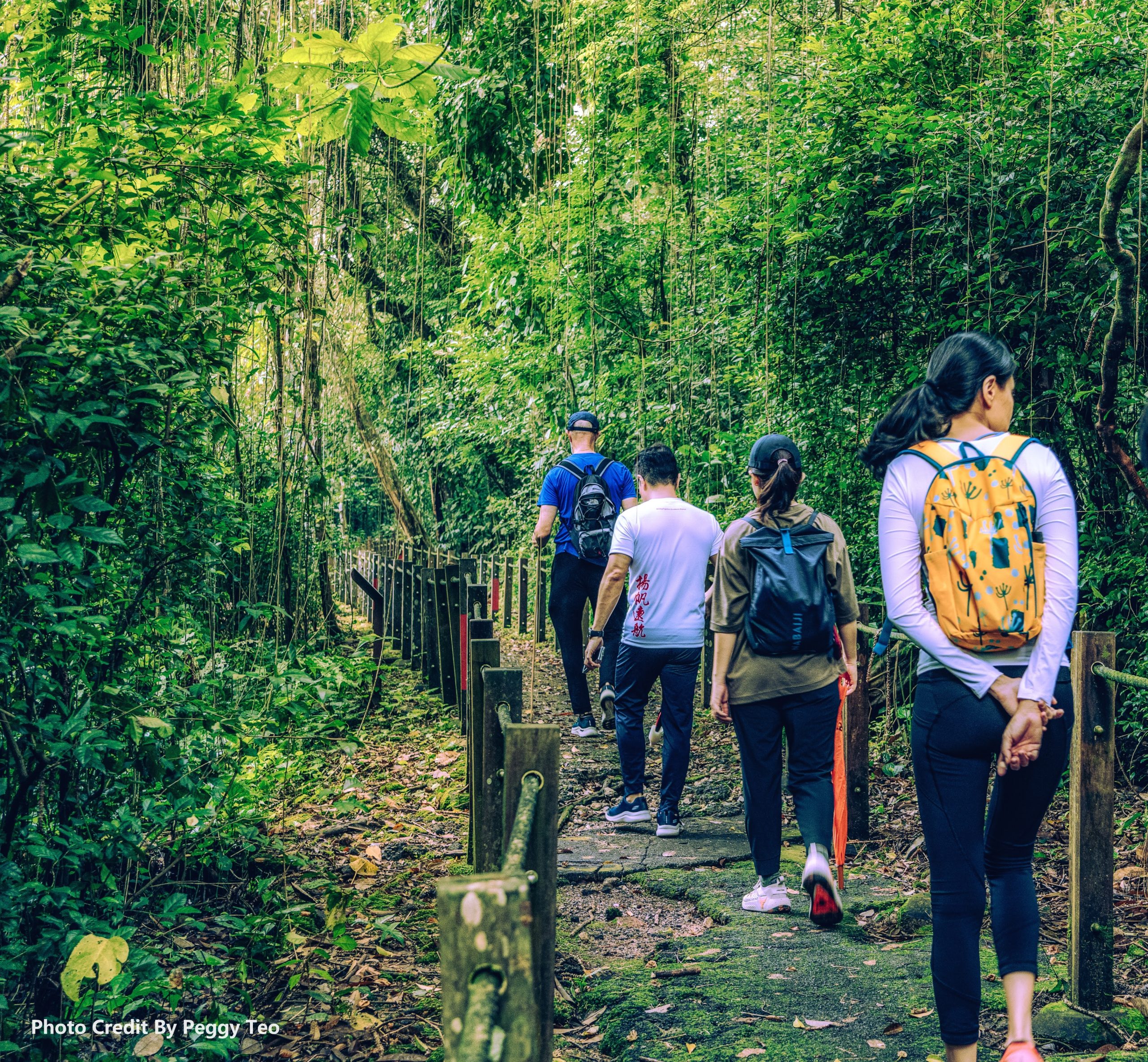 DSC01734-Edit-Edit.jpga_
